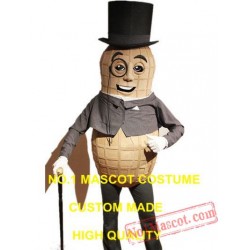 Mr Peanut Mascot Costume