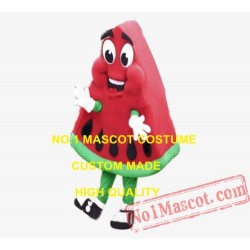 Watermelon Mascot Costume