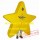Big Star Mascot Costume