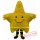 Star Mascot Costume