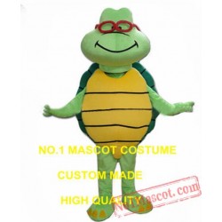 Funny Turtle Mascot Costume