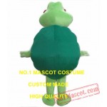 Funny Turtle Mascot Costume