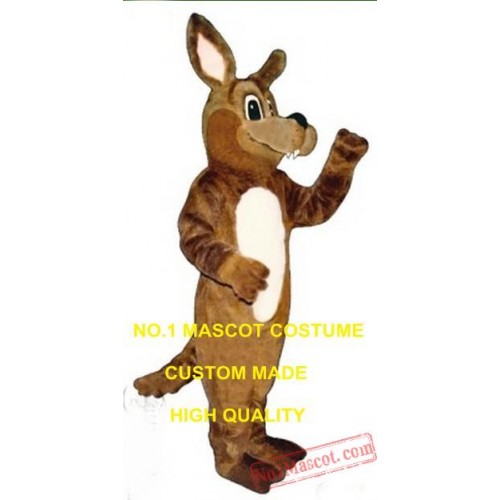 Cartoon Koyote Mascot Costume