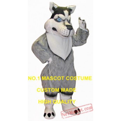 New Husky Mascot Costume