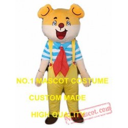 Cartoon Bear Mascot Costume
