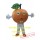 Orange Fruit Mascot Costume