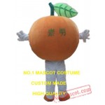 Orange Fruit Mascot Costume