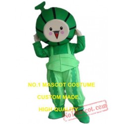 Watermelon Babe Mascot Costume