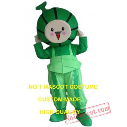 Watermelon Babe Mascot Costume