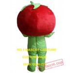 Tomato Mascot Costume