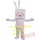 Cartoon Rabbit Mascot Costume