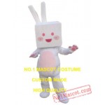 Cartoon Rabbit Mascot Costume