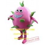 Pink Pitaya Mascot Costume