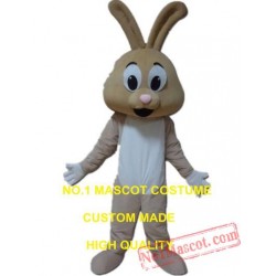 Cute Rabbit Mascot Costume