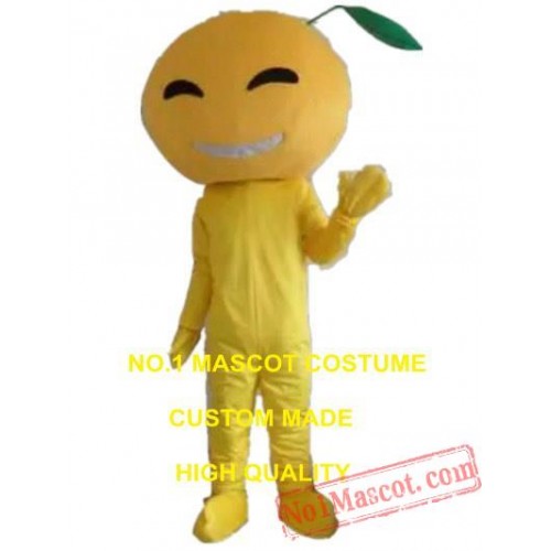 Orange Fruit Mascot Costume