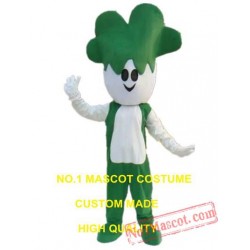 Cabbage Vegetable Mascot Costume