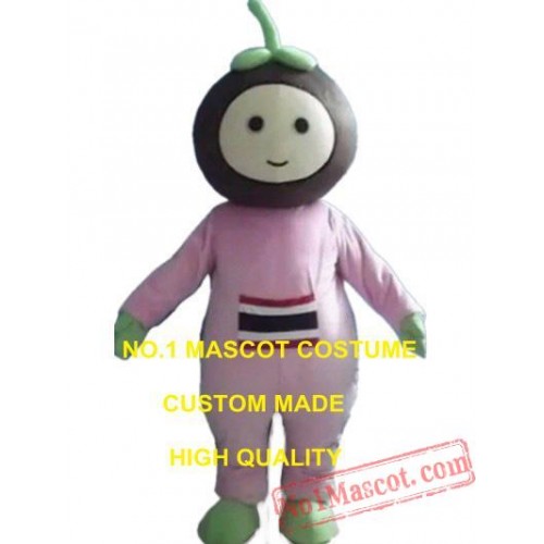 Mangosteen Mascot Costume