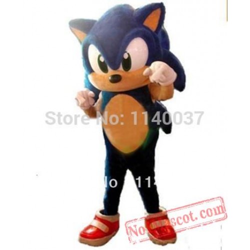 Hedgehog Mascot Costume