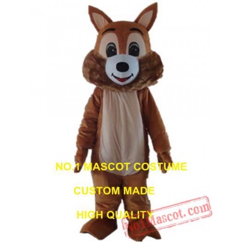 Cute Squirrel Mascot Costume