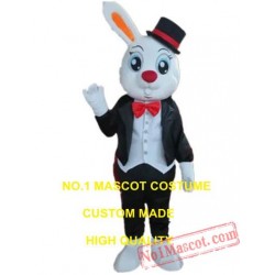 Rabbit Gentleman Mascot Costume