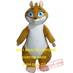 Cartoon Squirrel Mascot Costume