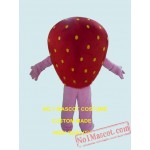 Strawberry Mascot Costume