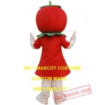 Red Strawberry Mascot Costume