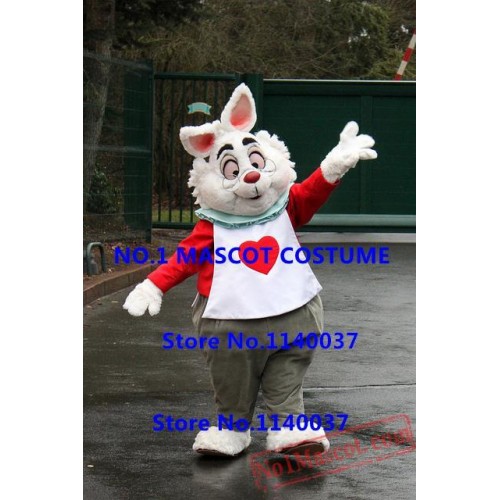 Rabbit Mascot Costume