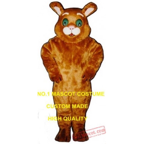 Cat Mascot Costume