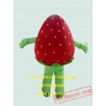 Strawberry Mascot Costume