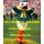 Duck Mascot Costume