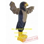 New Falcon Mascot Costume