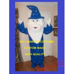 Halloween Wizard Mascot Costume