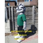 Badger Mascot Costume