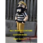 Pirate Mascot Costume