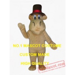 Mr Camel Mascot Costume