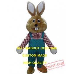 Big Mouth Rabbit Mascot Costume