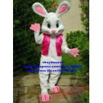 New Easter Bunny Mascot Costume