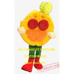 Fruit Pie Mascot Costume