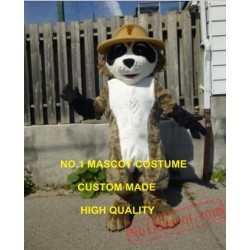 Ranger Rick Racoon Mascot Costume