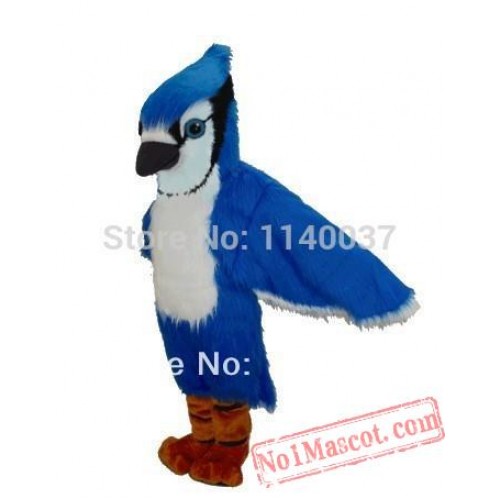 Best Price Blue Jay Mascot Costume