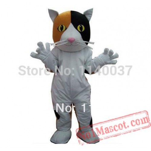 Domestic House Cat Mascot Costume