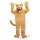 Golden Cougar Mascot Costume