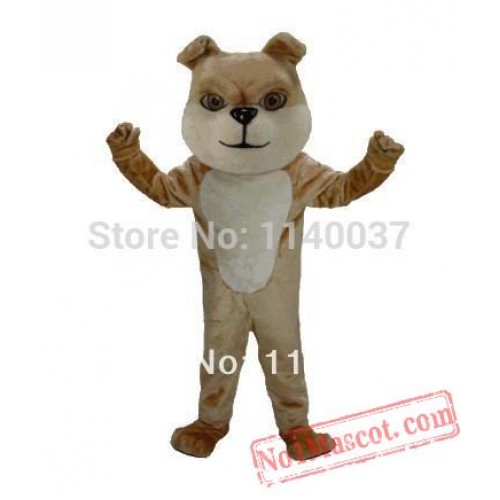 Cream Bulldog Mascot Costume