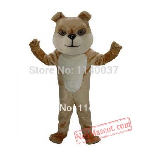 Best Quality Tan Bulldog Mascot Costume