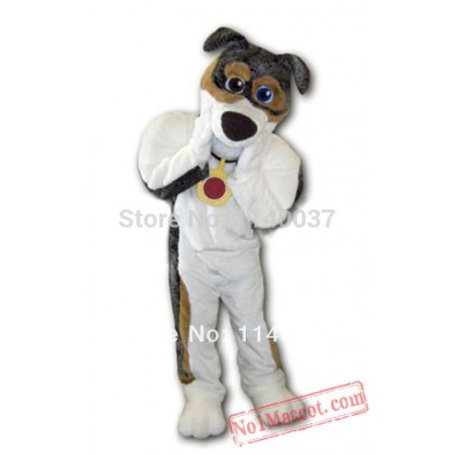 Custom Grey Dog Skeeter Mascot Costume