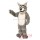 Leroy Wolf Mascot Costume