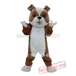 Brown & White Bulldog Mascot Costume