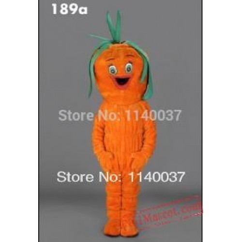 Carrot Vegetable Mascot Costume