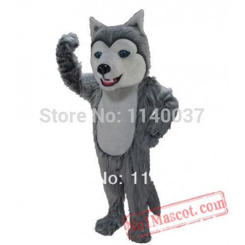 Newly Husky Mascot Costume